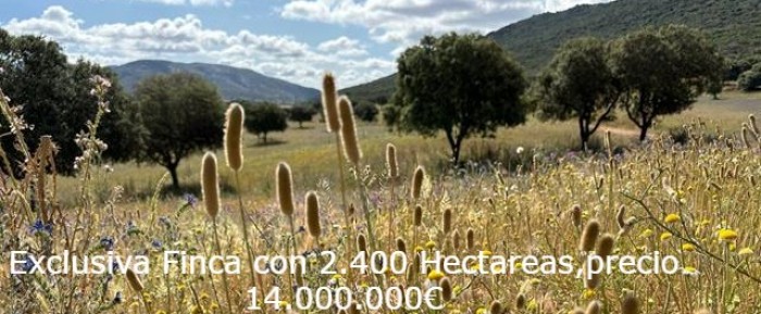 EXCLUSIVA FINCA REF 12898